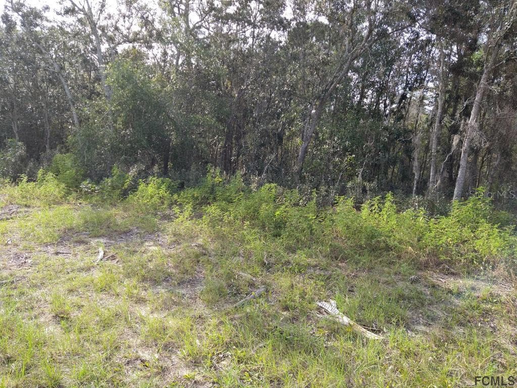 00 50TH CIRCLE OCALA, FL 34473