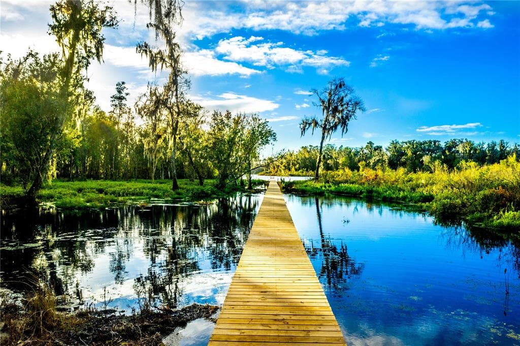 Lot #1 MEADOW BLUFF VIEW DADE CITY, FL 33523