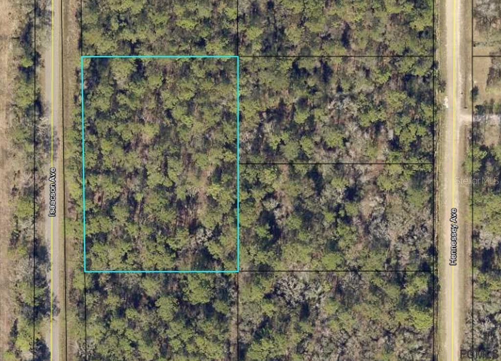 10660 ISAACSON AVENUE HASTINGS, FL 32145