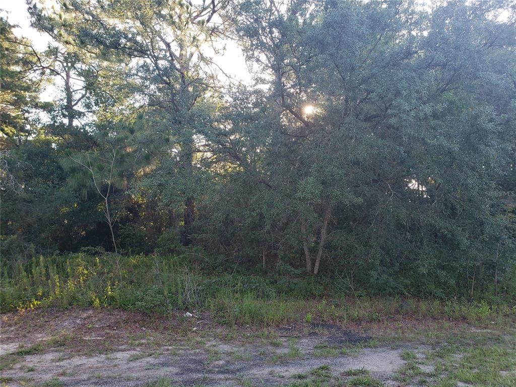 2160 MAXIMILIAN AVENUE SPRING HILL, FL 34609