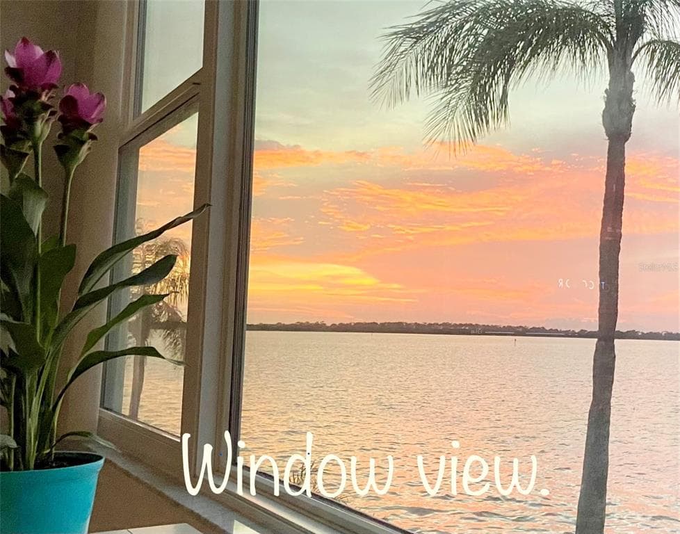 7 DUNOON PLACE UNIT 205 DUNEDIN, FL 34698