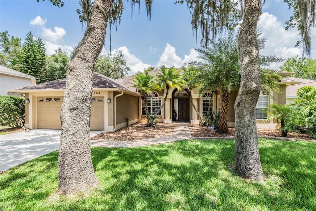 8543 BASUTO DRIVE TRINITY, FL 34655