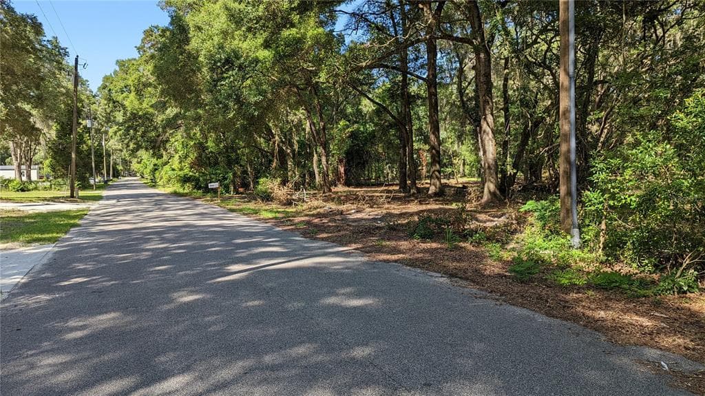 LOTS 72-76 N HAMILTON ROAD DUNNELLON, FL 34433