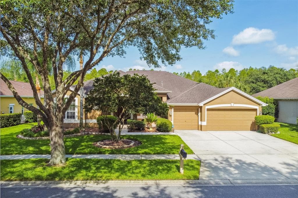5528 REFLECTIONS BOULEVARD LUTZ, FL 33558