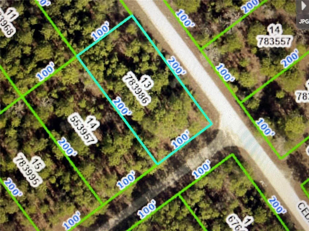 CEDARWOOD AVENUE WEEKI WACHEE, FL 34614