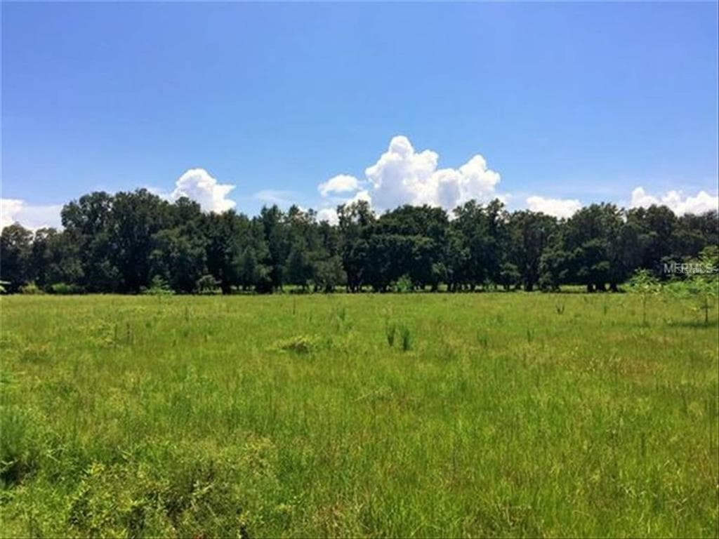 PARKWAY AVENUE ST CLOUD, FL 34772