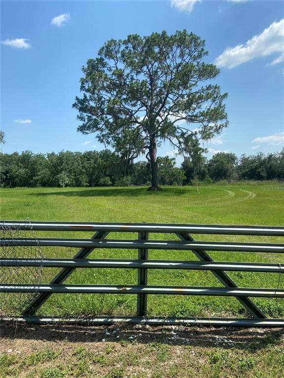 12935 MORRIS BRIDGE ROAD THONOTOSASSA, FL 33592