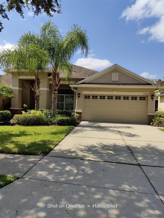 20800 AMANDA OAK COURT LAND O LAKES, FL 34638