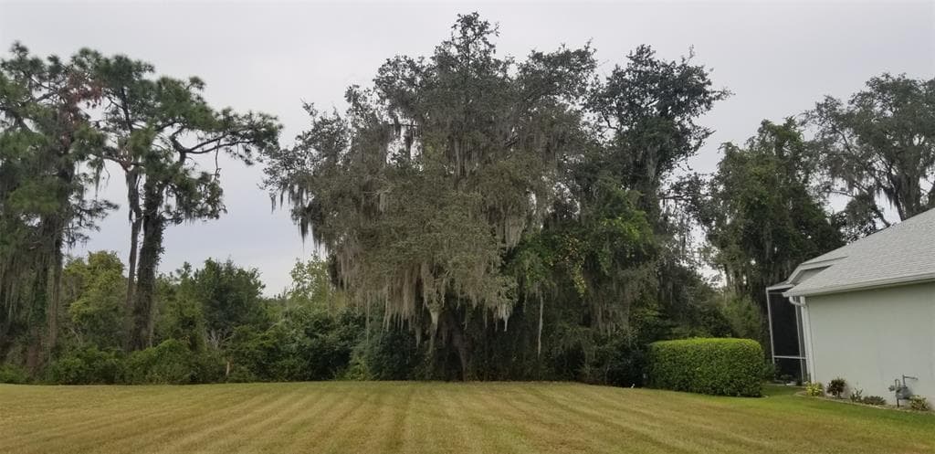27626 STONEY BROOK DRIVE LEESBURG, FL 34748