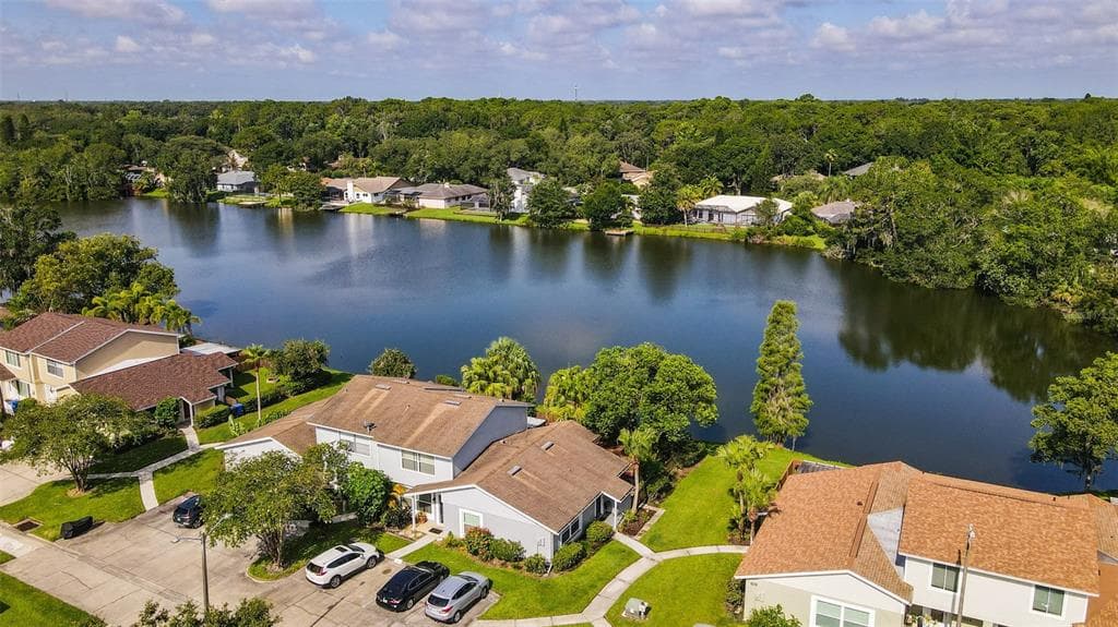 15624 MORNING DRIVE LUTZ, FL 33559