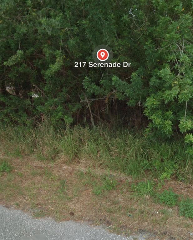 217 SERENADE DRIVE LAKE PLACID, FL 33852