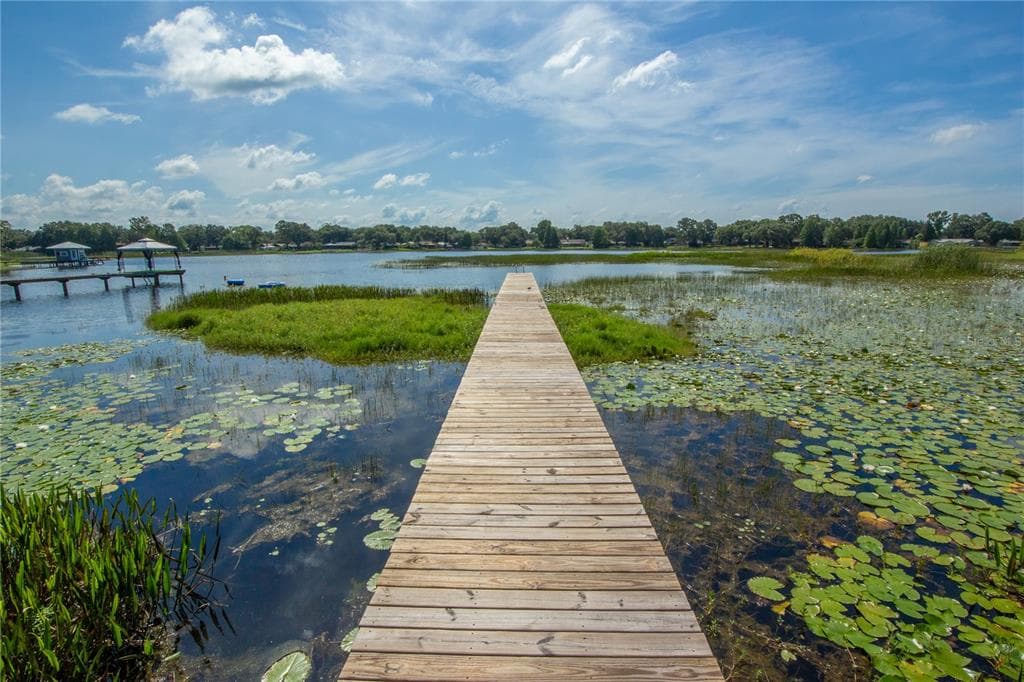 1230 LIVINGSTON ROAD LUTZ, FL 33559