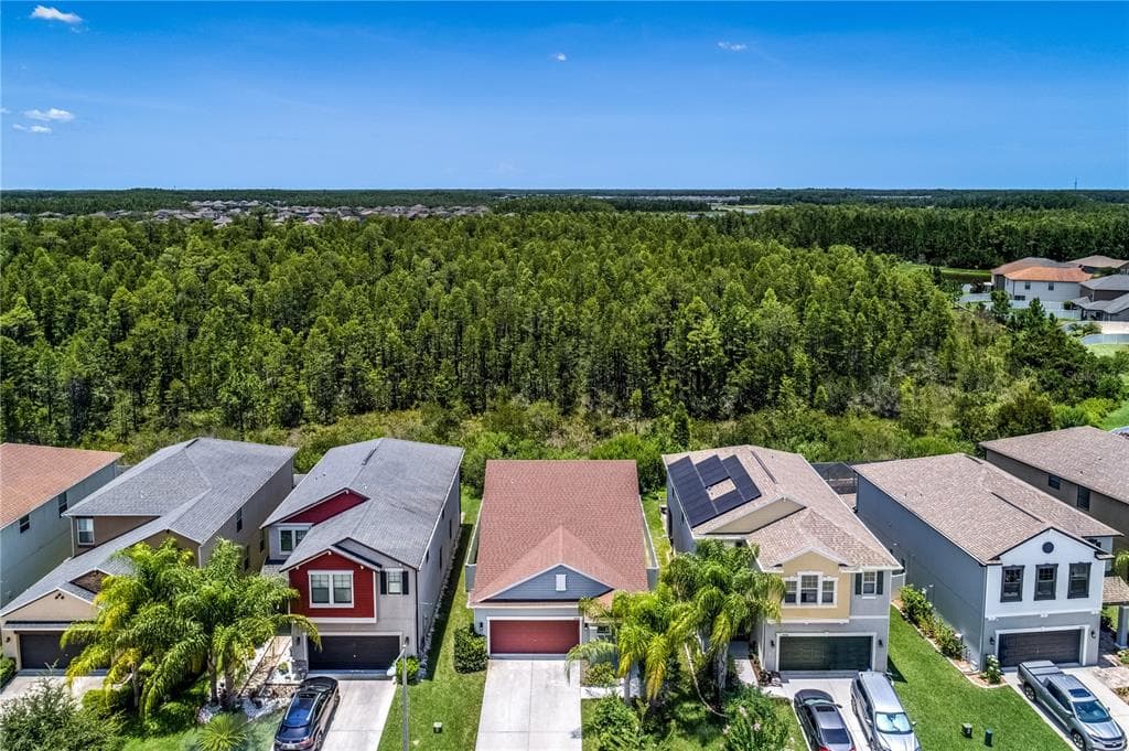 18928 HAMPSTEAD HEATH COURT LAND O LAKES, FL 34638