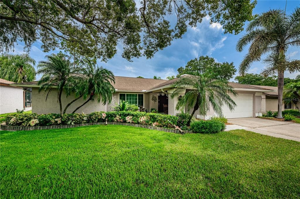 3118 BLUE HERON STREET SAFETY HARBOR, FL 34695