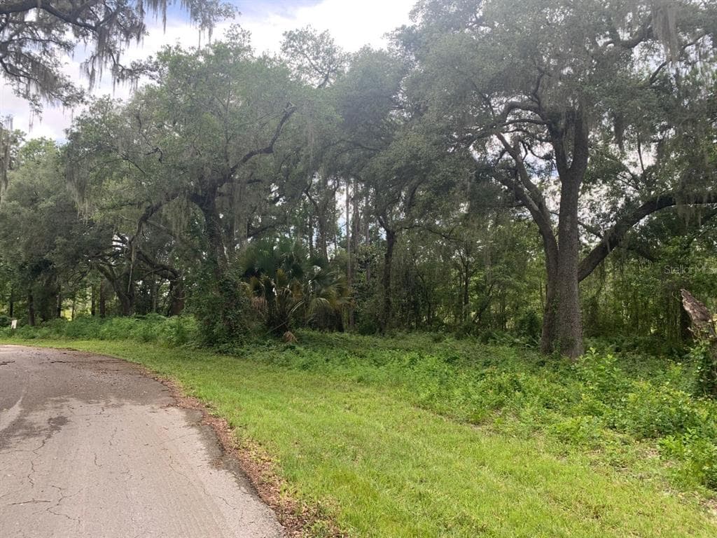 6741 N BEECHNUT LOOP HERNANDO, FL 34442