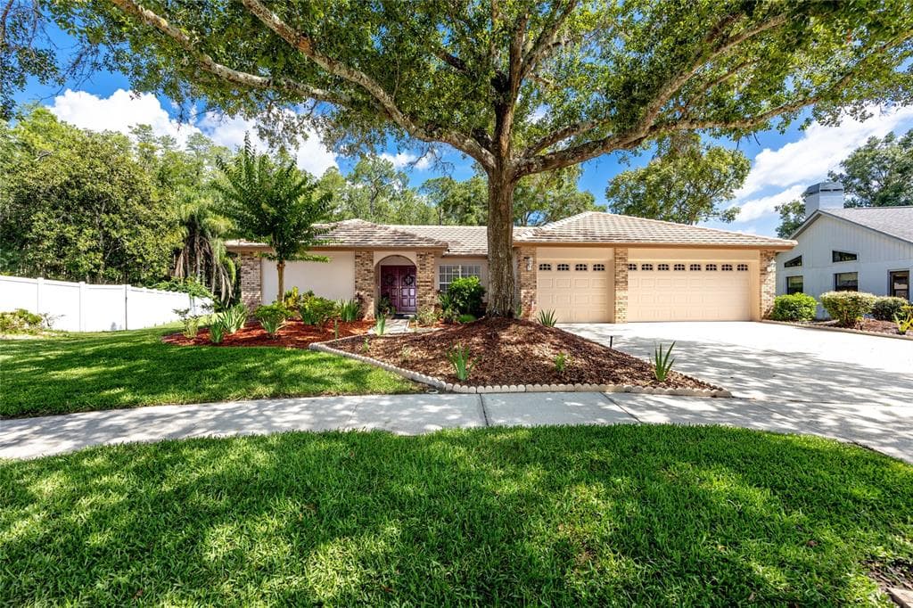 3108 ROXMERE DRIVE PALM HARBOR, FL 34685