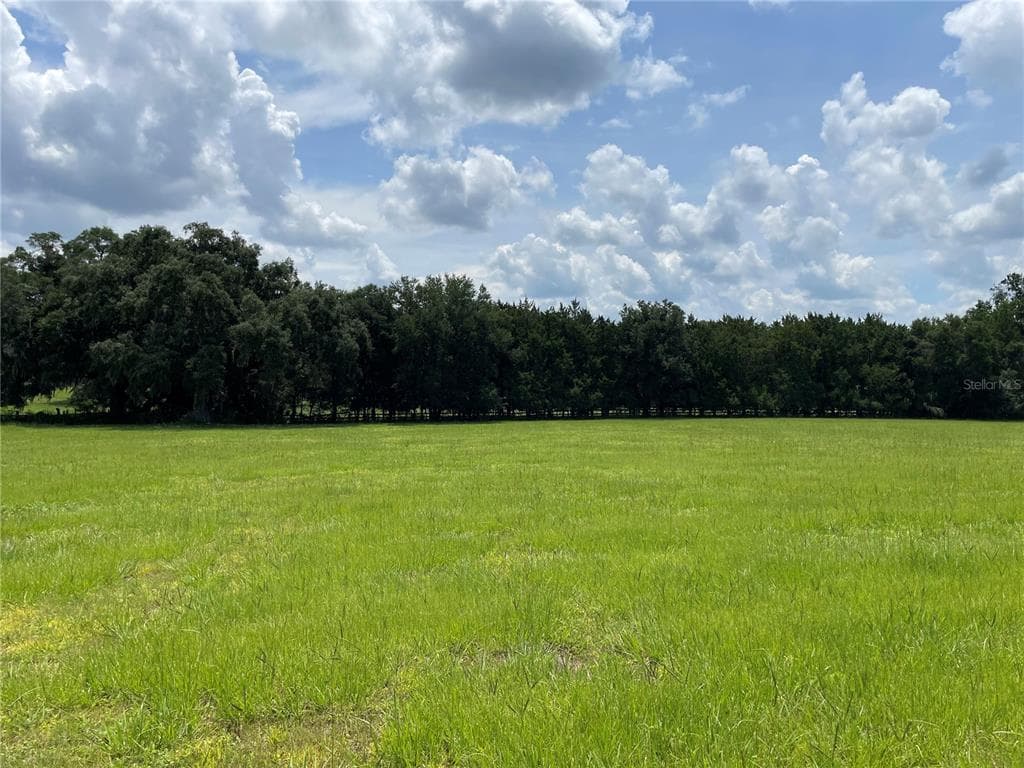 Lot #14 SUGAR WOODS FARM REDDICK, FL 32686