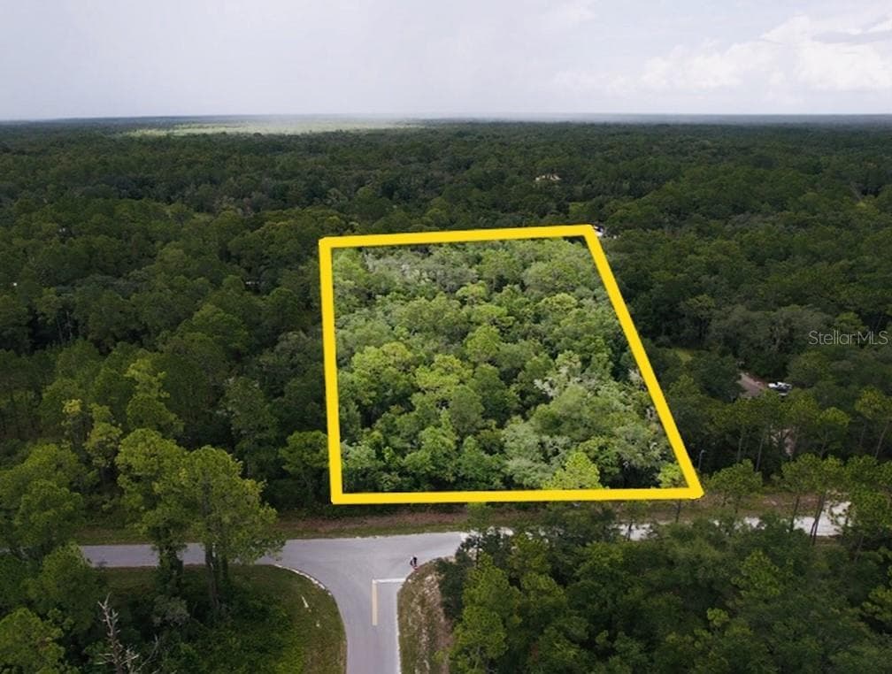 SOUTHEAST AVENUE WEBSTER, FL 33597