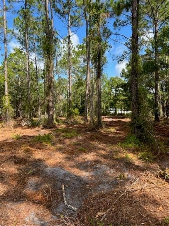 3850 CHAPLAIN ROAD ST CLOUD, FL 34772