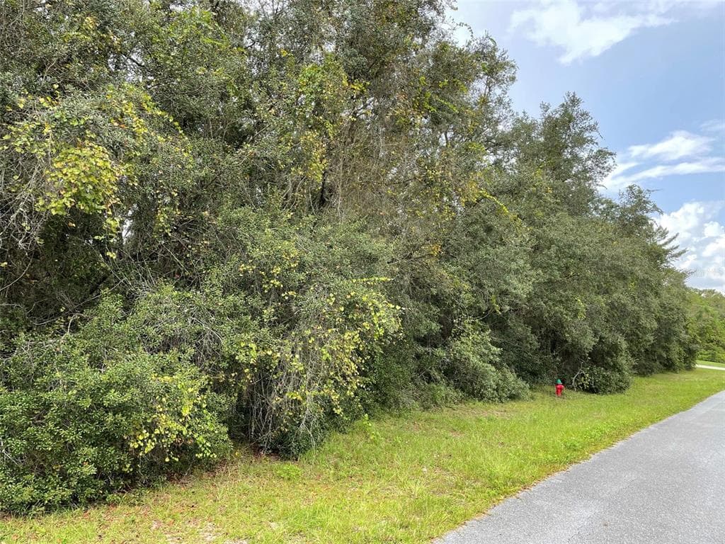 SW 43RD AVENUE ROAD OCALA, FL 34473