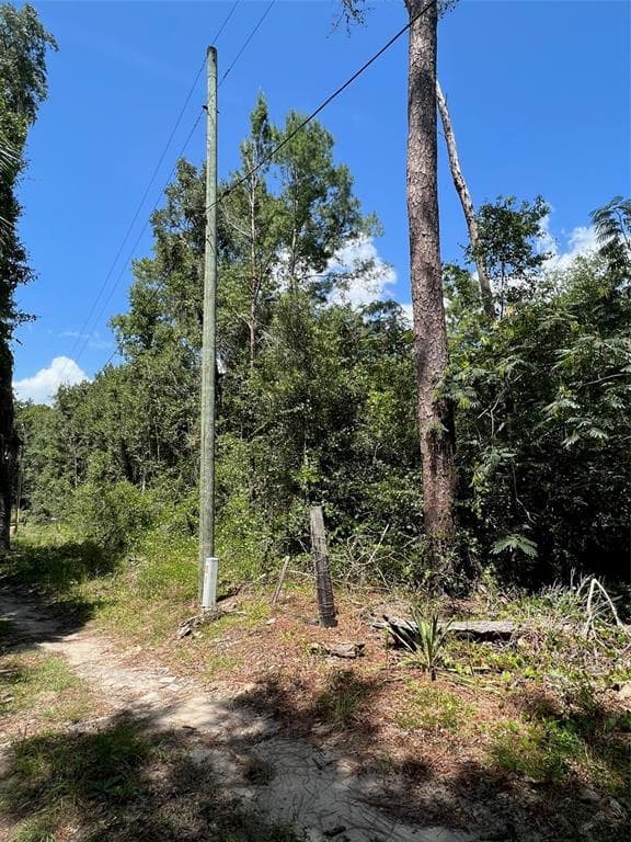 4387 NE 170TH AVENUE SILVER SPRINGS, FL 34488