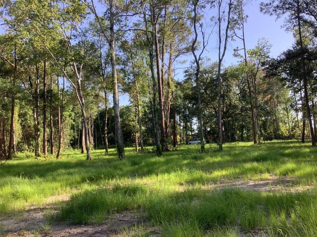 2711 STATE ROAD 33 CLERMONT, FL 34714
