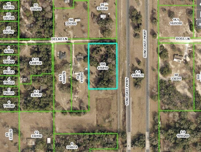 14138 DELAO LANE WEEKI WACHEE, FL 34614