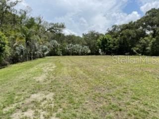 6015 EUREKA SPRINGS ROAD TAMPA, FL 33610