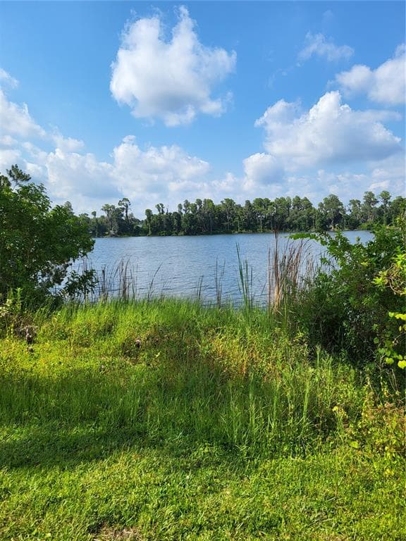 16326 MCGLAMERY ROAD ODESSA, FL 33556