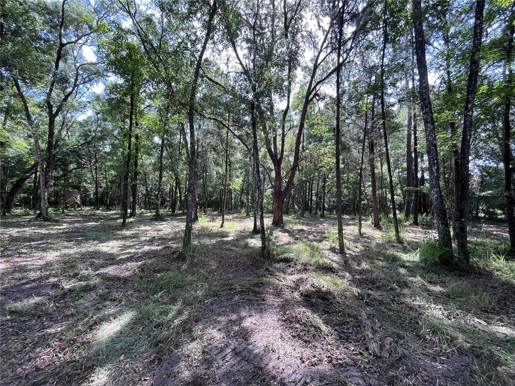JACOBSON ROAD BROOKSVILLE, FL 34601