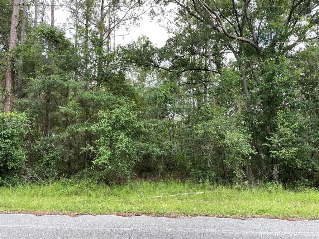 SW 88TH LN RD DUNNELLON, FL 34431