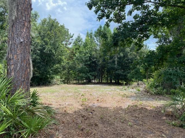 8521 SPRING FOREST LANE WESLEY CHAPEL, FL 33544