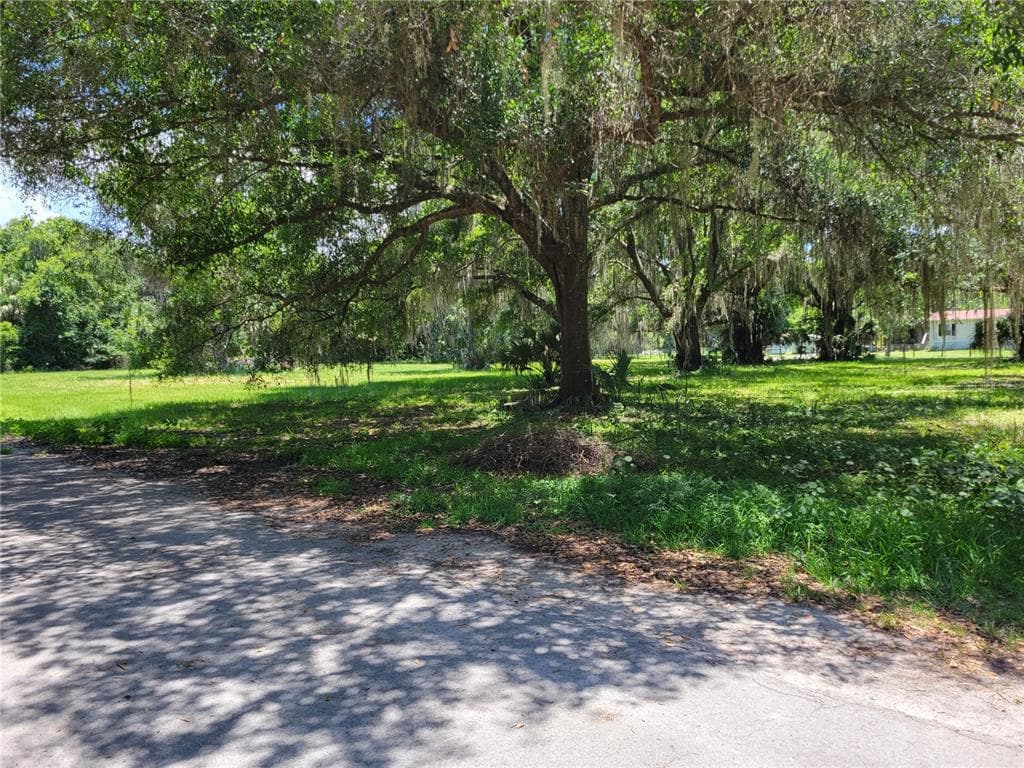 Lot 4 NW 217TH STREET MICANOPY, FL 32667