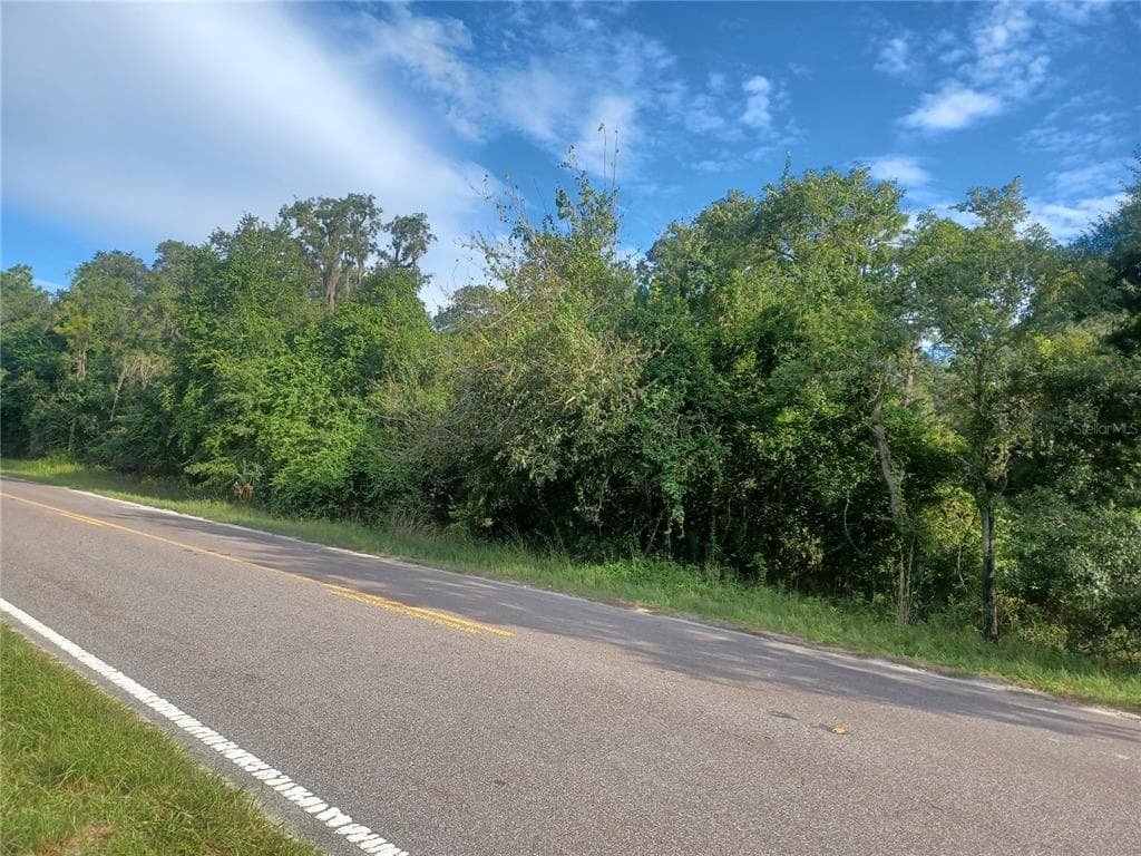 0 PEACE BOULEVARD SPRING HILL, FL 34610