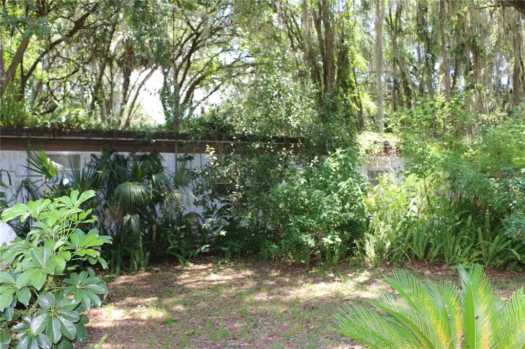 3161 CR 430A LAKE PANASOFFKEE, FL 33538