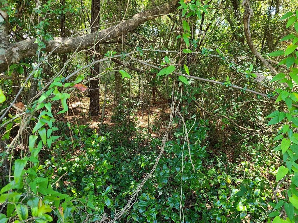 3046 E GLENN STREET INVERNESS, FL 34453