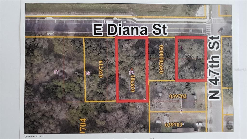 E DIANA STREET TAMPA, FL 33610