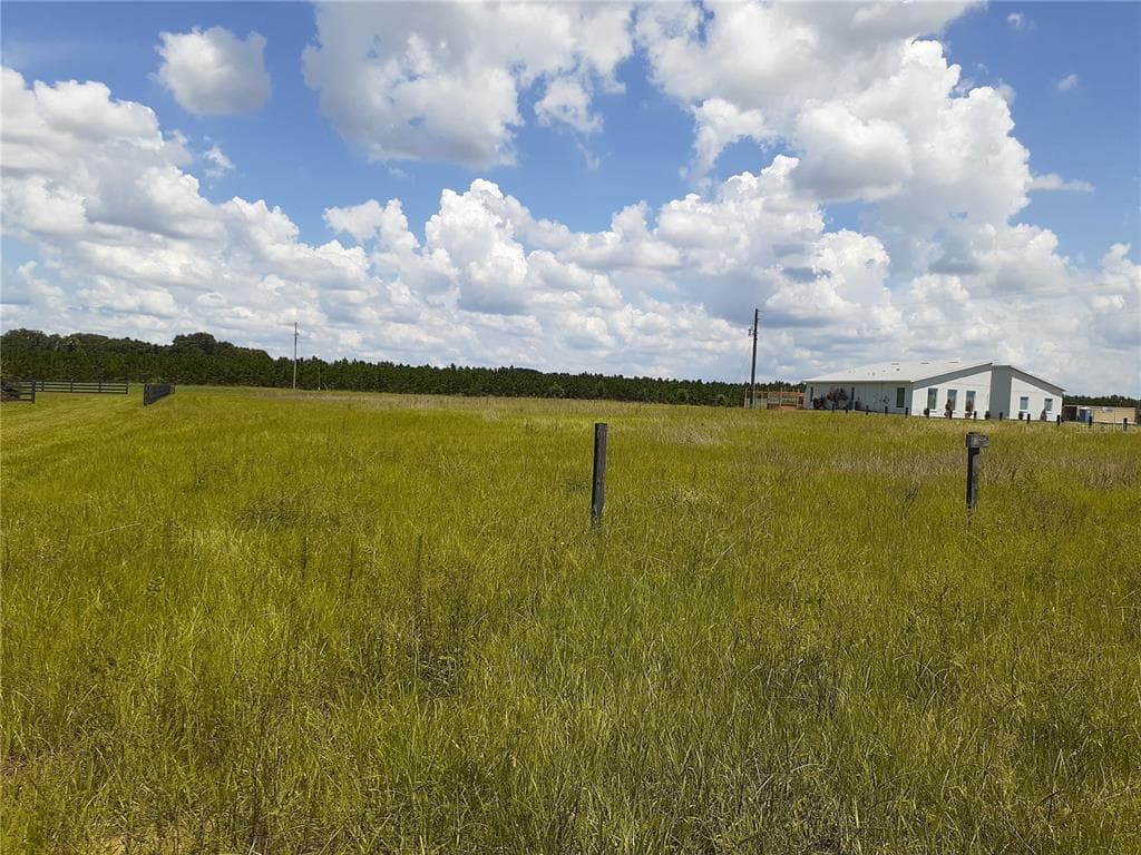 3305 N KINGSWAY ROAD THONOTOSASSA, FL 33592