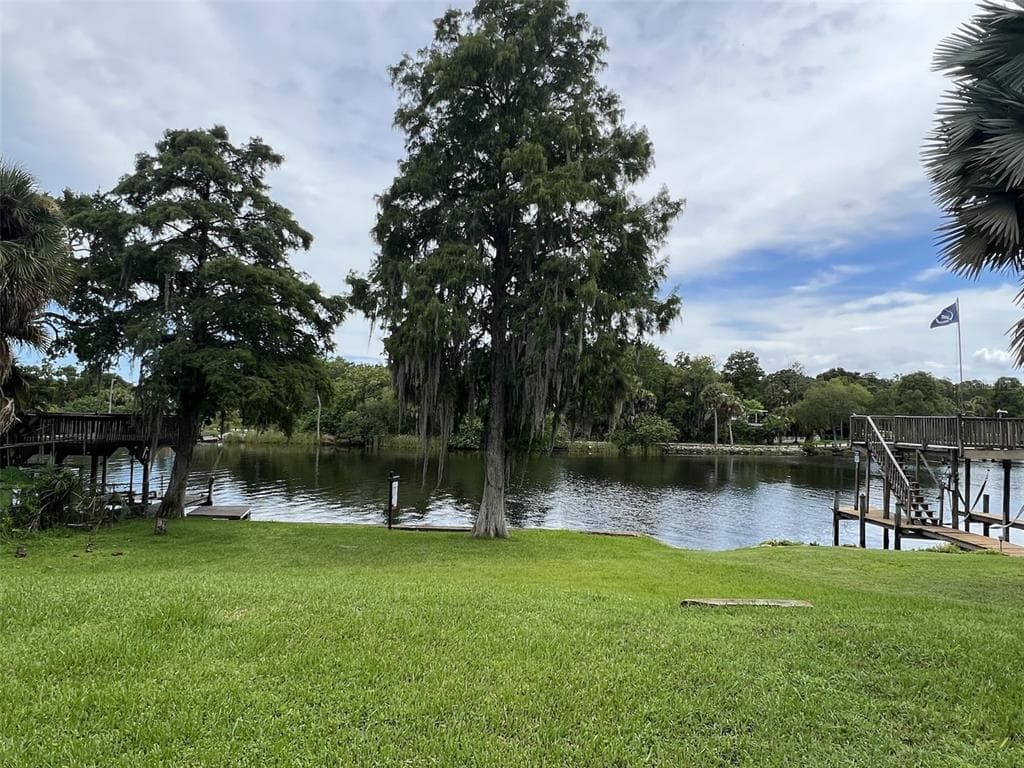 338 W RIO VISTA COURT TAMPA, FL 33604
