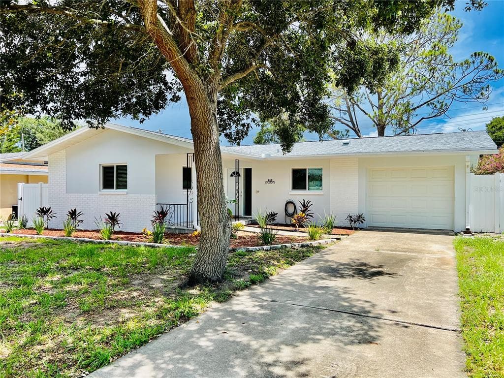 649 MAGNOLIA STREET DUNEDIN, FL 34698