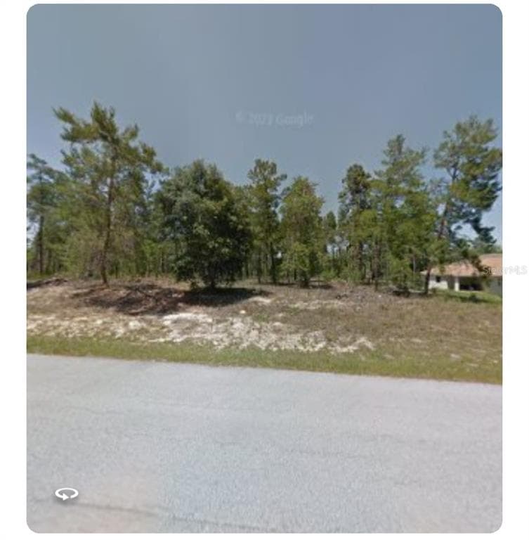 3 GERANIUM COURT E HOMOSASSA, FL 34446