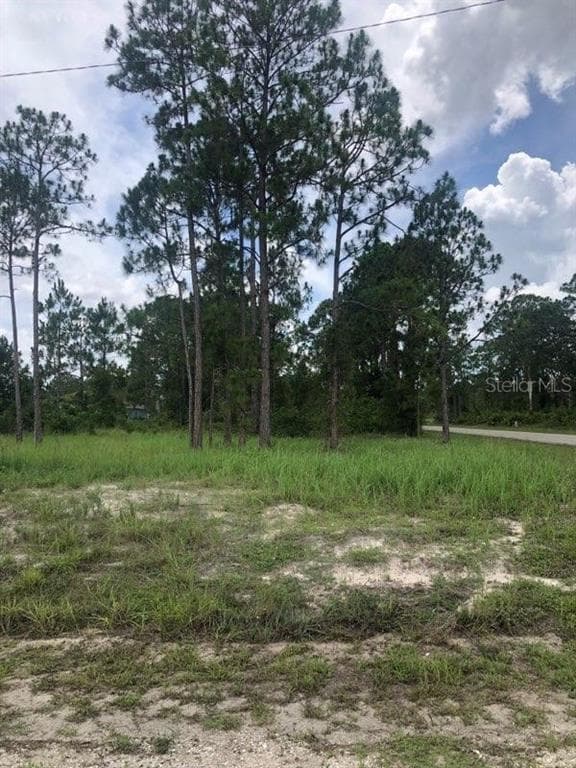 1103 EUCLID AVENUE LEHIGH ACRES, FL 33972