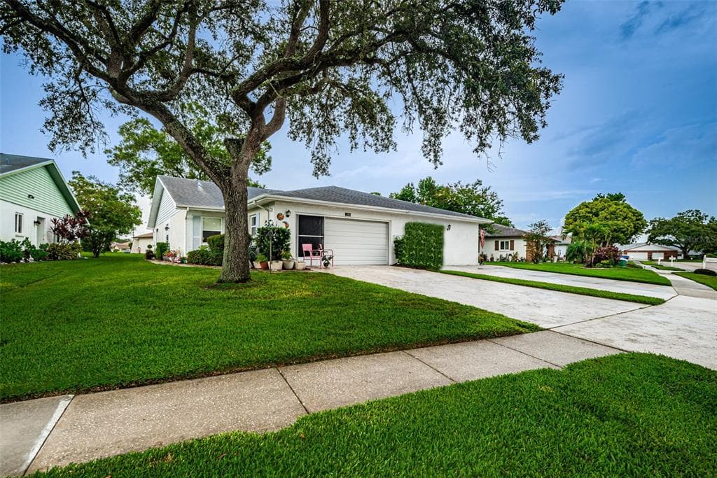 3205 MCMATH DRIVE PALM HARBOR, FL 34684