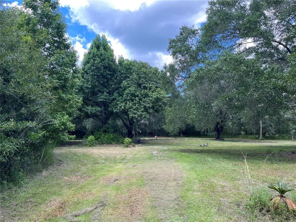 6552 MORRELL COURT WESLEY CHAPEL, FL 33544