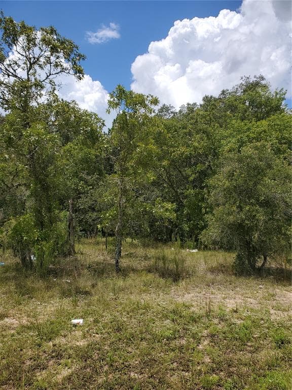 6280 N FLORIDA AVENUE HERNANDO, FL 34442