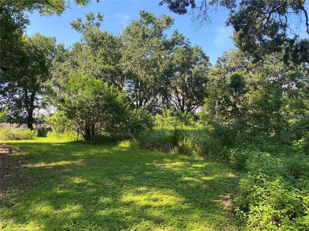 13707 WALDEN SHEFFIELD ROAD DOVER, FL 33527