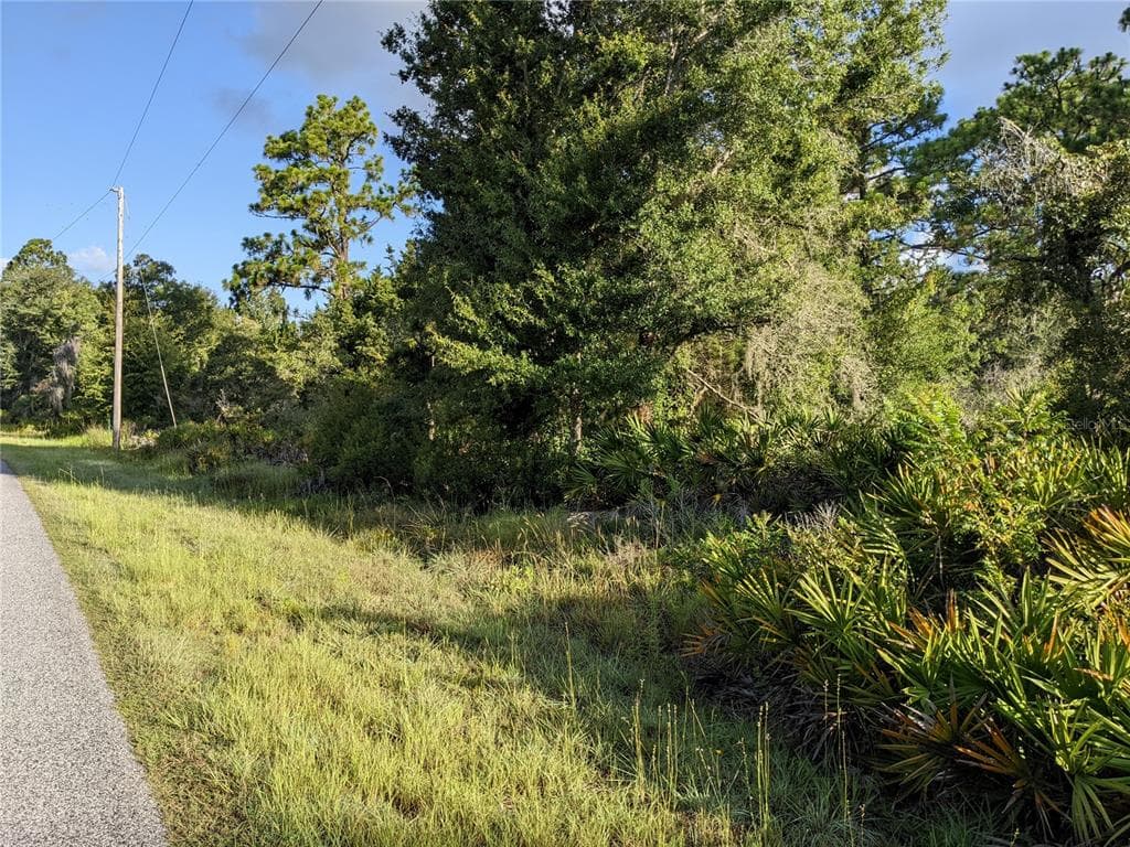 11521 W CORNFLOWER DRIVE CRYSTAL RIVER, FL 34428
