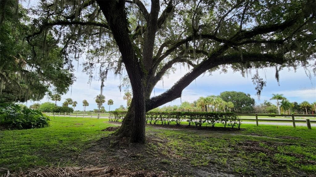 289 BEAR TRAIL LAKE WALES, FL 33898