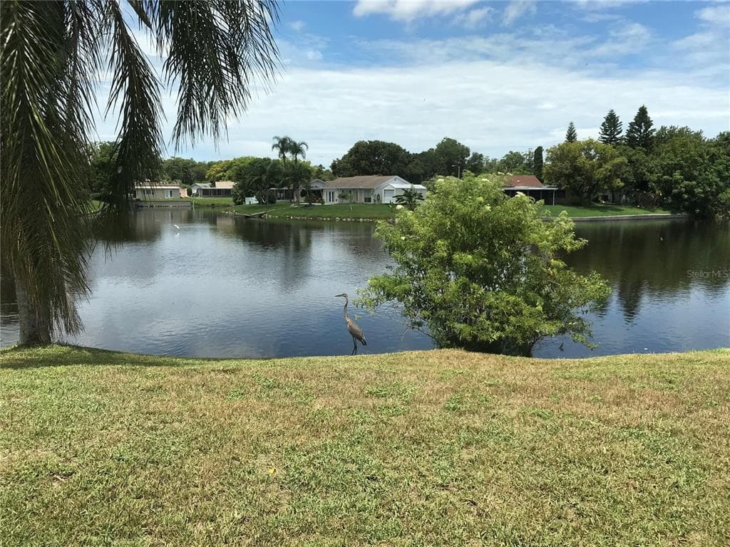 3401 SPRINGFIELD DRIVE HOLIDAY, FL 34691