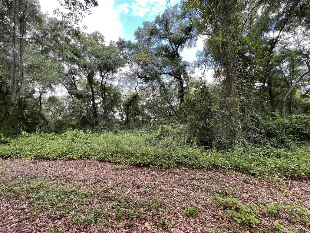 00 WOODTRACE DRIVE DADE CITY, FL 33523